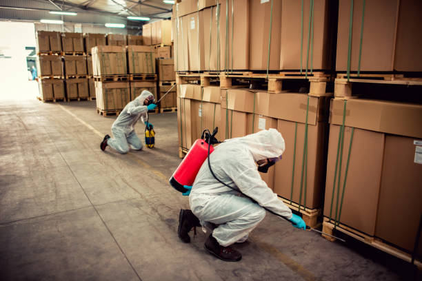 Best Pest Inspection Near Me  in Alexander, AR