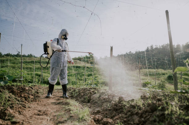 Best Local Pest Control Services  in Alexander, AR