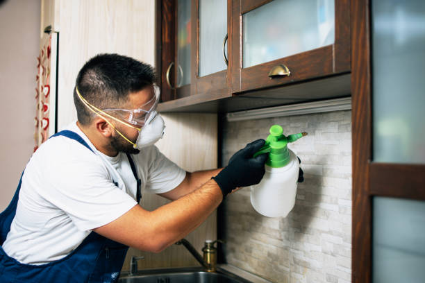 Best Insect Control  in Alexander, AR