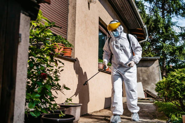 Best Rat Extermination Near Me  in Alexander, AR
