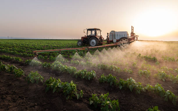 Best Pest Removal Services  in Alexander, AR