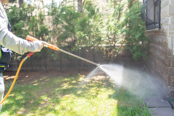Best Exterminator Services  in Alexander, AR