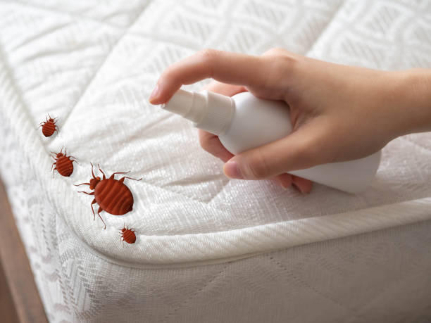 Best Affordable Pest Control Services  in Alexander, AR