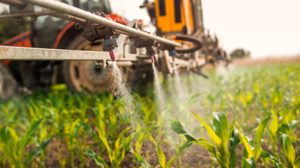Best Wildlife Control Services  in Alexander, AR